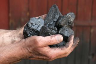 Polacy wskazują na potrzebę dopłat do węgla. Będzie nowy dodatek? Mamy nowe informacje