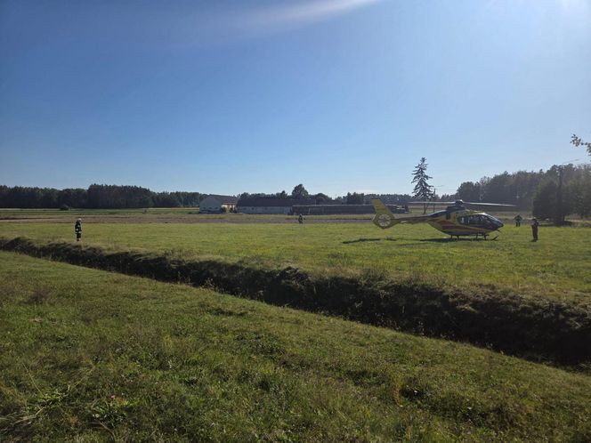 Tragedia na drodze. Wjechał w krowę motocyklem. Zwierzę nie żyje, lądował śmigłoiwec LPR