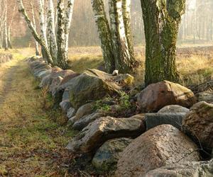 Park Krajobrazowy Wzniesień Łódzkich