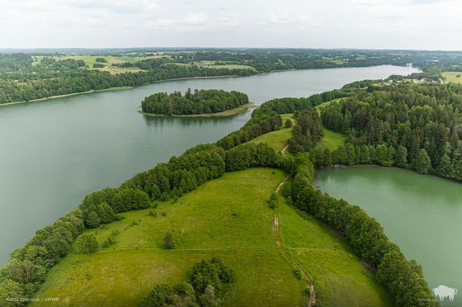 Filipów