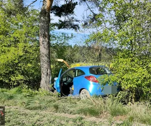 Nieprzytomny kierowca uderzył autem w drzewo