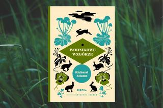 Książki idealne na Wielkanoc 2024. Poczujesz z nimi klimat wiosny! [LISTA]