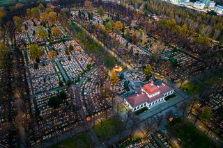 1 listopada w Gliwicach. Będą objazdy i utrudnienia, a także darmowe meleksy