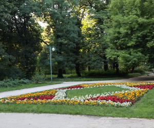 Zieleń, kwiatowe rabaty i piękne ptaki. Oto spacer po Ogrodzie Saskim w Lublinie 