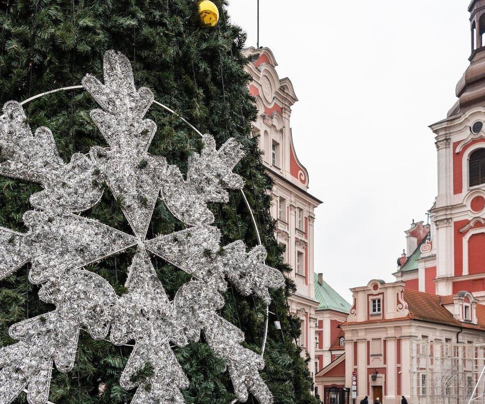 Miejska choinka zaświeci się już w ten weekend!