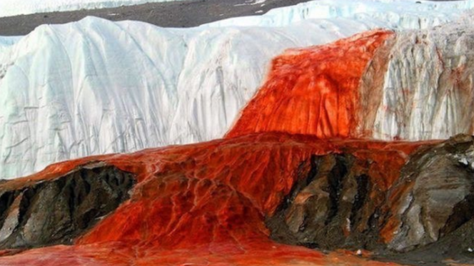 Przerażający widok na Antarktydzie, woda ma kolor krwi! Czym jest „krwawy wodospad”? [WIDEO]