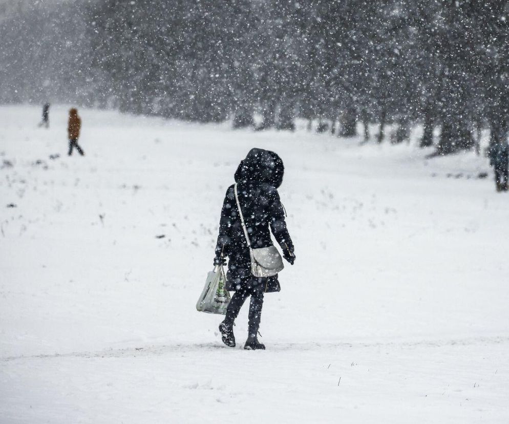 Śnieg i dwucyfrowy mróz. Zima zbliża się do Polski. Synoptycy wskazali konkretną datę!