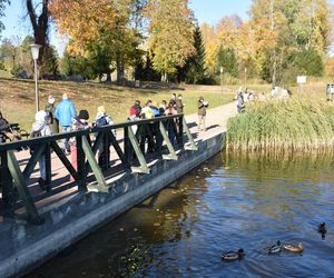 Nowa promenada nad malowniczym jeziorem na Mazurach. Łączy rekreację z edukacją