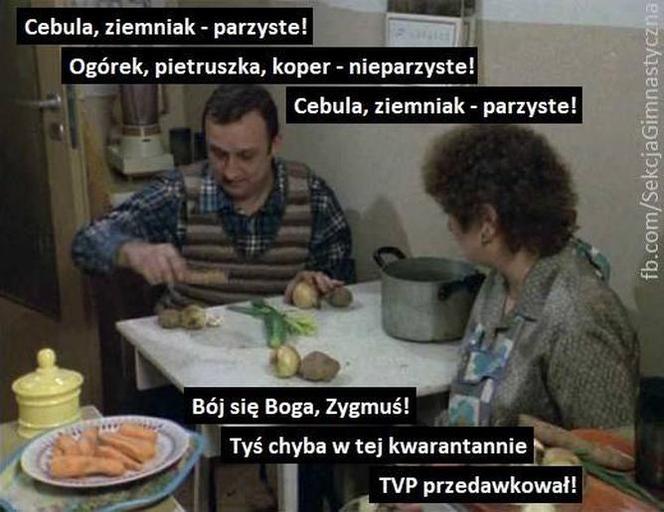 Szkoła TVP: Memy. Liczby parzyste, średnica i śmiech przez łzy