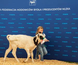 Jesienne Targi Rolnicze w Gryźlinach 2024. Wydarzenie przyciągnęło tłumy. Zobacz zdjęcia