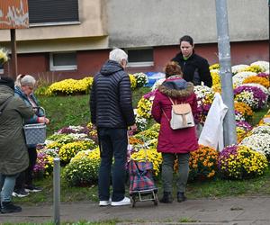 Porządki na Cmentarzu Centralnym w Szczecinie