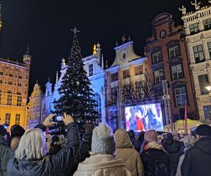 Gdańska choinka rozbłysła. Zobaczcie nasze zdjęcia!