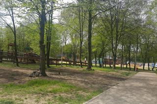 Prace w Parku Grabek w Czeladzi