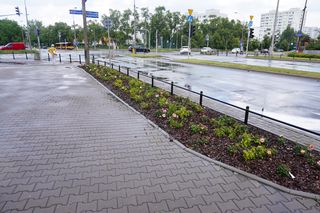 Kontrowersyjny skwerek na Ursynowie latem 2025