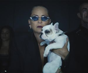 Nagi Instynkt wraca! Ale bez Sharon Stone. Gwiazda tak to podsumowała!