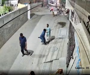 Lew rzucił się na dzieci i kobietę pośrodku ulicy! Oto, co stało się potem