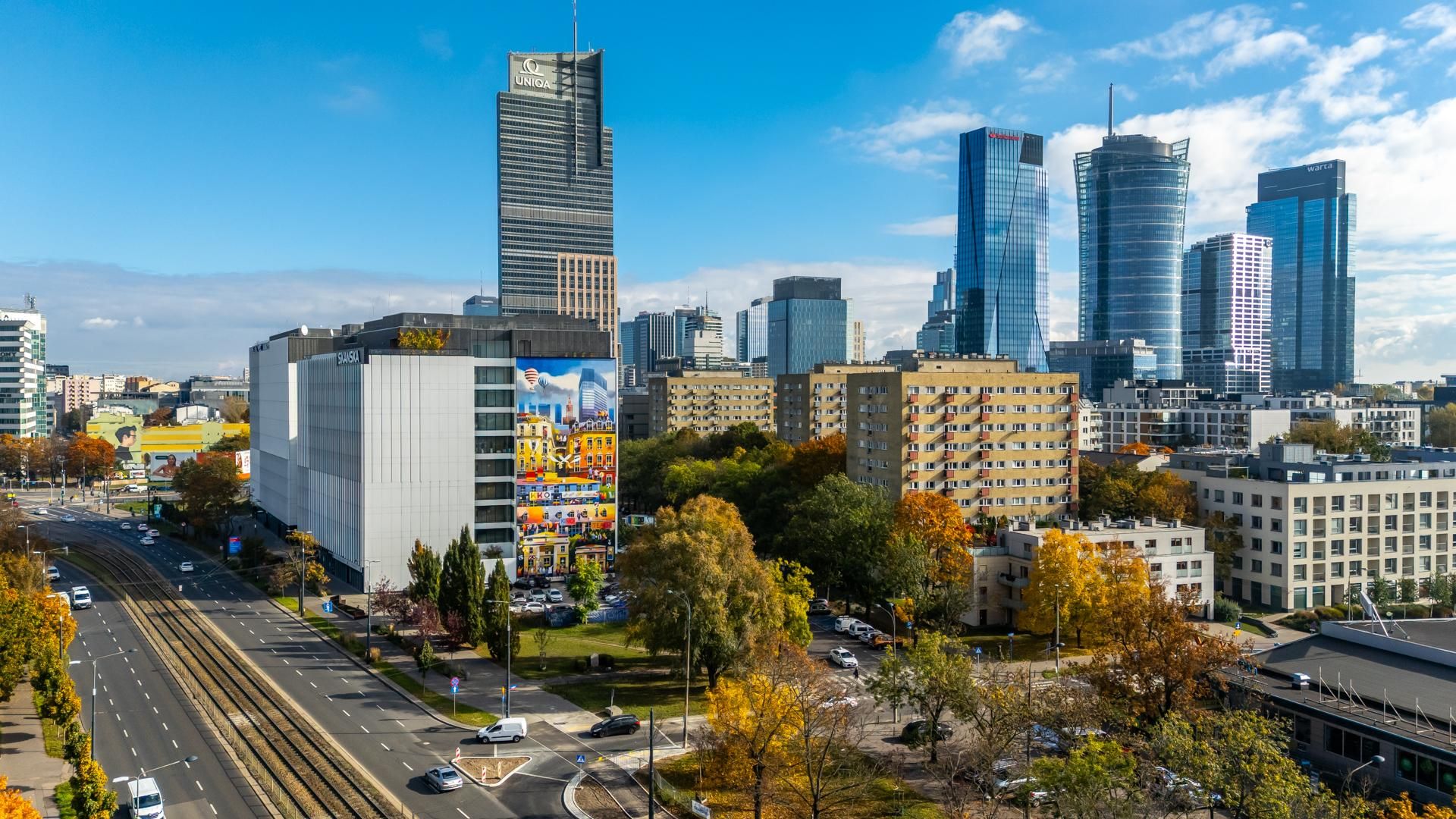 Serek wolski w Warszawie