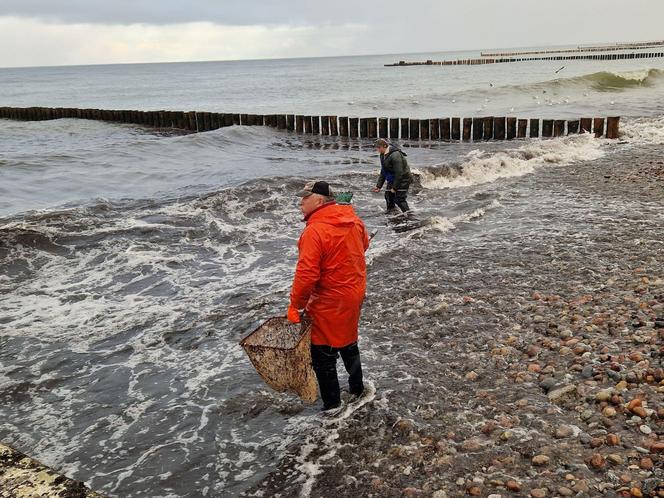 Tłumy na plaży w Kołobrzegu