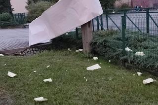 Trąba powietrzna zerwała dachy i połamała drzewa w Lasowicach Wielkich
