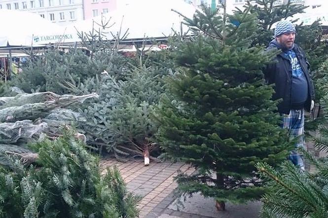 Choinki można kupić m.in. na placu Wielkopolskim.