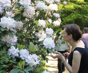 Arboretum w Rogowie