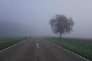 Trudne warunki na drogach! Gęsta mgła bardzo utrudnia jazdę! 