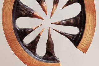 Podlaski rzeźbiarz tworzy prace z drewna