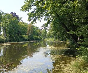 Parki podworskie w powiecie gdańskim