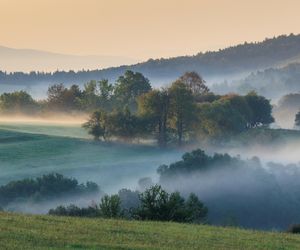 Podkarpacie to idealny kierunek na wiosenny weekend. Oto najpiękniejsze zakątki tego regionu