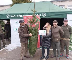 Oddali krew i dostali świateczne drzewko. Dziś w Radomiu akcje leśników Choinka ża życie 