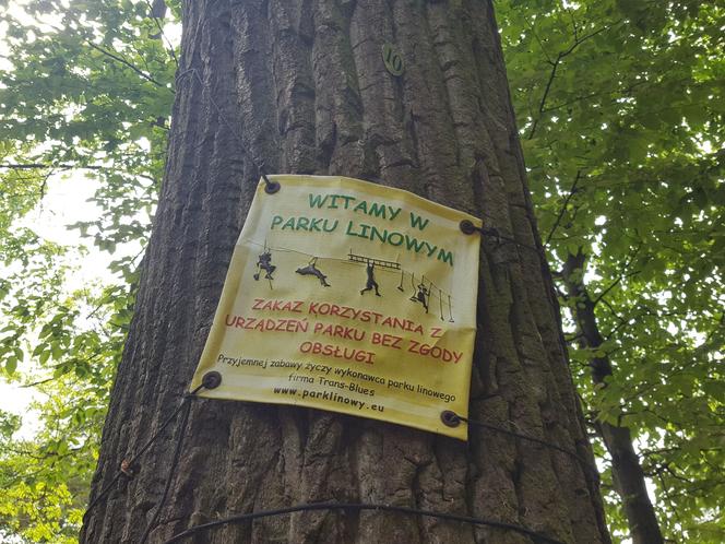 Park Linowy "Tarzan" w Lesznie na kilka dni przed otwarciem