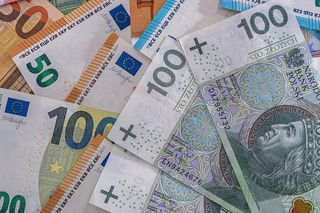 Wprowadzenie euro w Polsce coraz bliżej? Polacy zmieniają zdanie