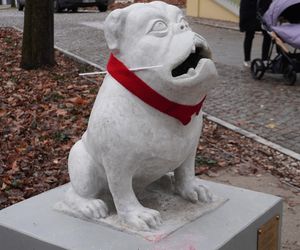 WidziMisie w Białymstoku gotowe na zimę