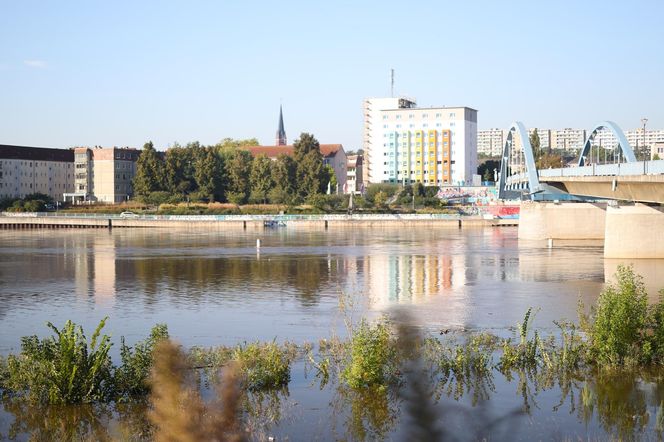 Odra w Słubicach