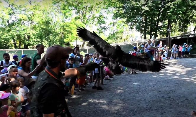 Leśny Park Niespodzianek w Ustroniu
