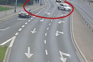 Pies wbiegł na ulicę, auta rozbite. Niebezpieczna sytuacja w Legnicy