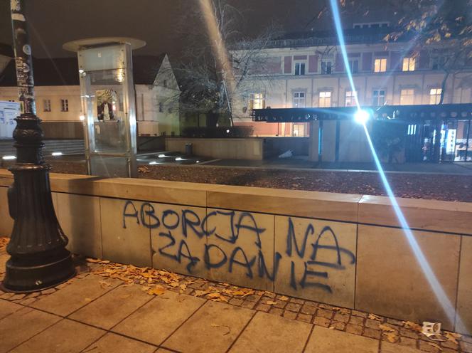 Warszawa zdewastowana po Marszu dla Izy