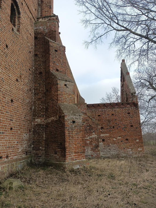 Ruiny kościoła w Steblewie