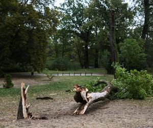 Park wilanowski zamknięty po burzy w Warszawie