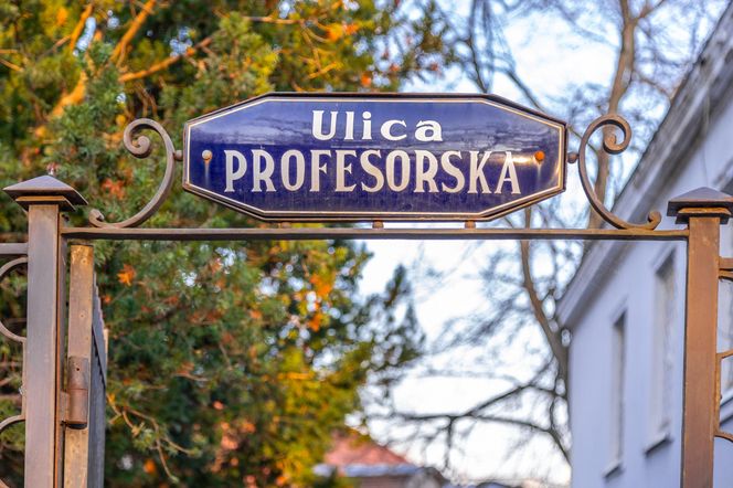 Kolonia profesorska w Warszawie