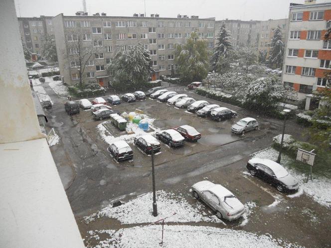 Chojnów - śnieg padający w maju
