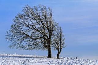 Deszcz, śnieg i burze! Wrócą wichury, a to nie wszystko. Fatalne prognozy [Prognoza IMGW na 25.02.2023]