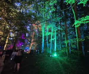 Olsztyn zamienił się w magiczną krainę. Park Świateł przyciągnął tłumy!