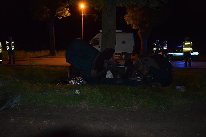 Wypadek pod Żychlinem