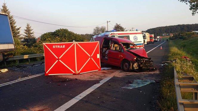 Śmiertelny wypadek na DK94 w Czajowicach [ZDJĘCIA]