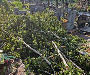 Jak po przejściu huraganu! Taki widok na cmentarzu przy Radomskiej