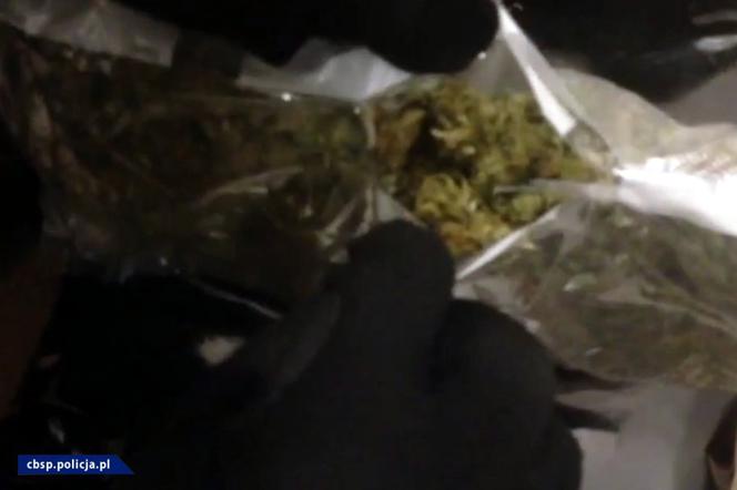 Marihuana w mandarynkach