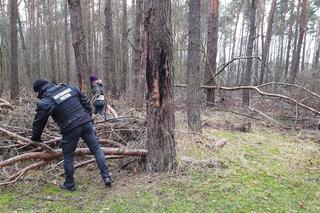 Rutkowski Patrol przeczesuje jezioro i las w Piotrkowie, szukają 32-latka