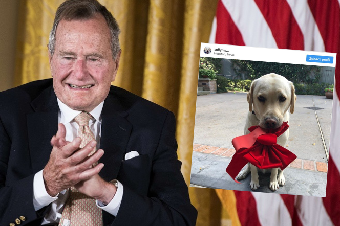 Pies czuwa przy trumnie Busha. 'Misja wykonana'