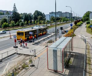 Opuszczona przebudowa Trasy Łazienkowskiej w Warszawie